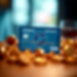 A Comprehensive Examination of the Amex Blue Business Card Introduction