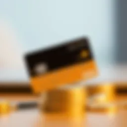 Overview of Sunbit Visa Credit Card Features