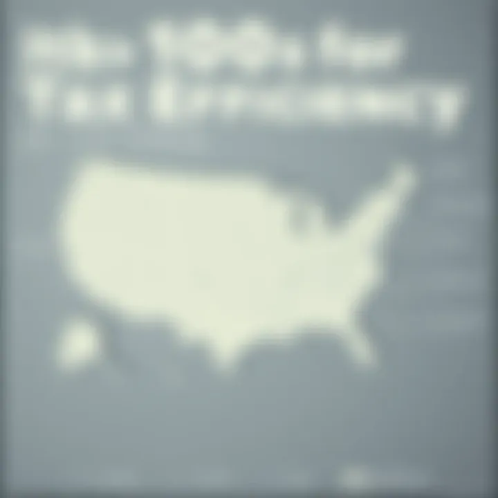 Tax Efficiency Overview by State Infographic summarizing tax efficiency benefits of different states