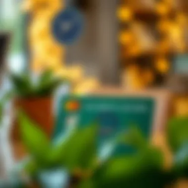 Illustration of credit score improvement using secured cards