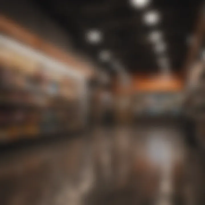Graphical representation of advantages of shop credit accounts