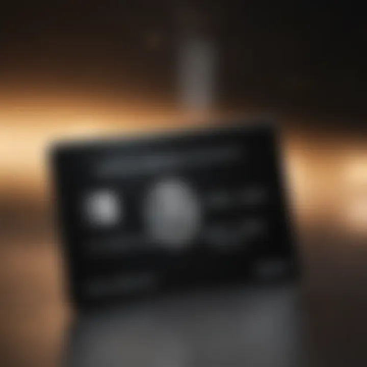 Visual of the American Express Black Card benefits