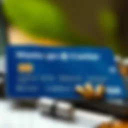 Navigating Credit Cards as an International Student Introduction