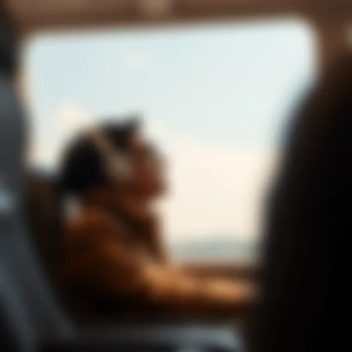 Maximizing Your Frequent Flyer Miles A traveler contemplating flight options with frequent flyer miles