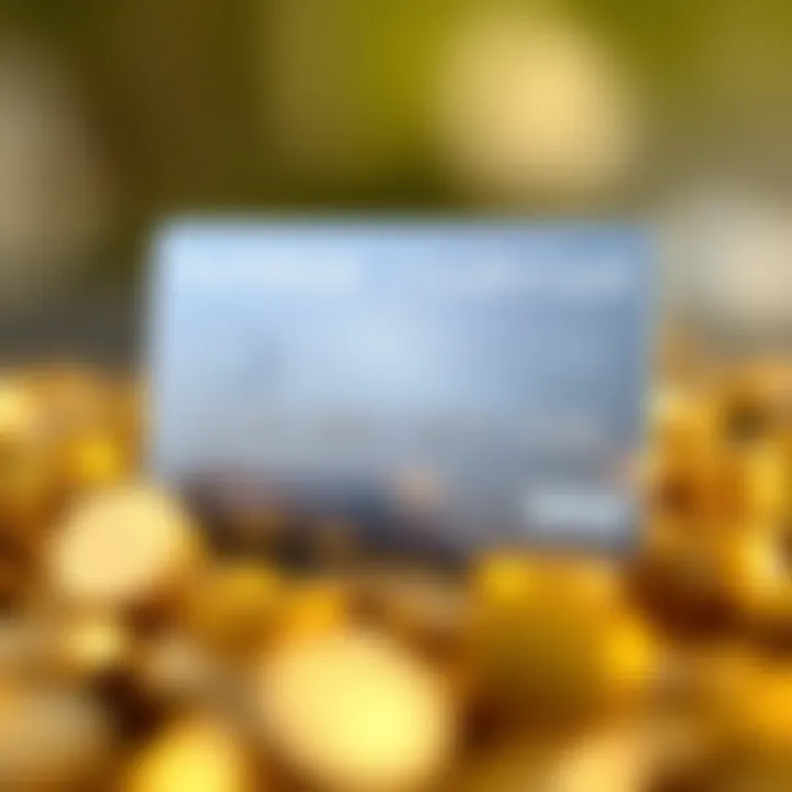 Infographic detailing the advantages of a Platinum credit card