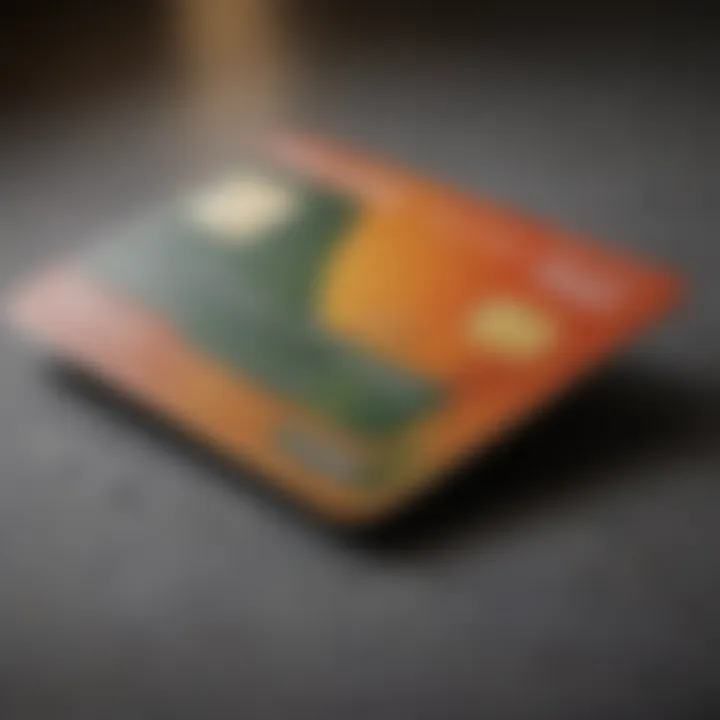 Discover Card payment layout